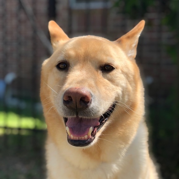 Meet the Posher, Joann - Picture 1 of 16